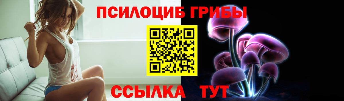 Похвистнево  Псилоцибиновые грибы Psilocybine cubensis  наркотики  Вход с VPN 